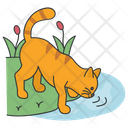 پیش‌نمایش فایل cat-drinking-water-5663510 از پک فعالیت‌ها گربه