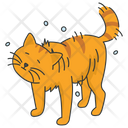 پیش‌نمایش فایل cat-drying-itself-5663533 از پک فعالیت‌ها گربه