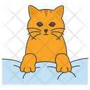 پیش‌نمایش فایل cat-on-pillow-5663531 از پک فعالیت‌ها گربه
