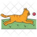 پیش‌نمایش فایل cat-playing-ball-5663514 از پک فعالیت‌ها گربه