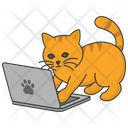 پیش‌نمایش فایل cat-playing-laptop-5663507 از پک فعالیت‌ها گربه