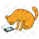 پیش‌نمایش فایل cat-seeing-phone-5663516 از پک فعالیت‌ها گربه