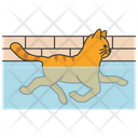 پیش‌نمایش فایل cat-swimming-5663511 از پک فعالیت‌ها گربه
