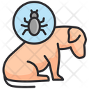 پیش‌نمایش فایل bug-7145788 از پک دامپزشکی
