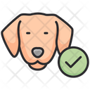 پیش‌نمایش فایل dog-7145780 از پک دامپزشکی