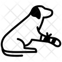 پیش‌نمایش فایل fracture-10688885 از پک دامپزشکی