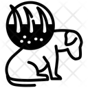 پیش‌نمایش فایل skin-10688840 از پک دامپزشکی