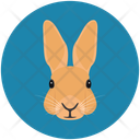 پیش‌نمایش فایل bunny-12714593 از پک چهره‌های حیوان