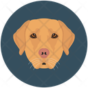 پیش‌نمایش فایل dog-12714564 از پک چهره‌های حیوان
