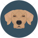 پیش‌نمایش فایل dog-12714610 از پک چهره‌های حیوان