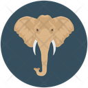 پیش‌نمایش فایل elephant-12714572 از پک چهره‌های حیوان
