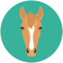 پیش‌نمایش فایل horse-12714587 از پک چهره‌های حیوان