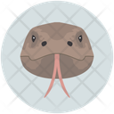پیش‌نمایش فایل komodo-dragon-12714616 از پک چهره‌های حیوان