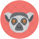 پیش‌نمایش فایل lemur-12714609 از پک چهره‌های حیوان
