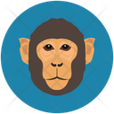 پیش‌نمایش فایل monkey-12714568 از پک چهره‌های حیوان