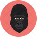 پیش‌نمایش فایل monkey-12714591 از پک چهره‌های حیوان