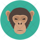پیش‌نمایش فایل monkey-12714608 از پک چهره‌های حیوان