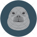 پیش‌نمایش فایل seal-12714601 از پک چهره‌های حیوان