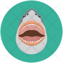 پیش‌نمایش فایل shark-12714597 از پک چهره‌های حیوان