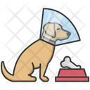 پیش‌نمایش فایل dog-cone-4320944 از پک فعالیت‌ها سگ