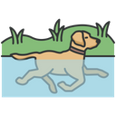 پیش‌نمایش فایل dog-swimming-4320931 از پک فعالیت‌ها سگ