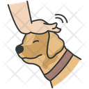 پیش‌نمایش فایل dog-training-4320938 از پک فعالیت‌ها سگ