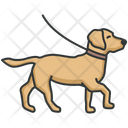 پیش‌نمایش فایل dog-walking-4320924 از پک فعالیت‌ها سگ