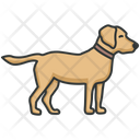 پیش‌نمایش فایل labrador-4320925 از پک فعالیت‌ها سگ