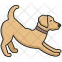 پیش‌نمایش فایل pet-4320927 از پک فعالیت‌ها سگ