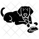 پیش‌نمایش فایل aggressive-4351997 از پک فعالیت‌ها سگ