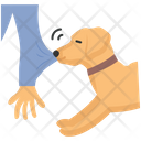 پیش‌نمایش فایل angry-dog-4351893 از پک فعالیت‌ها سگ