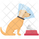 پیش‌نمایش فایل dog-cone-4351903 از پک فعالیت‌ها سگ