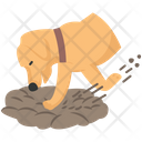 پیش‌نمایش فایل dog-digging-4351905 از پک فعالیت‌ها سگ