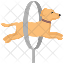 پیش‌نمایش فایل dog-jumping-4351881 از پک فعالیت‌ها سگ