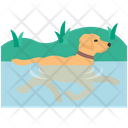 پیش‌نمایش فایل dog-swimming-4351890 از پک فعالیت‌ها سگ