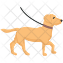 پیش‌نمایش فایل dog-walking-4351883 از پک فعالیت‌ها سگ