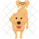 پیش‌نمایش فایل happy-puppy-4351908 از پک فعالیت‌ها سگ