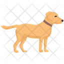 پیش‌نمایش فایل labrador-4351884 از پک فعالیت‌ها سگ