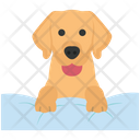 پیش‌نمایش فایل puppy-4351914 از پک فعالیت‌ها سگ