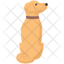 پیش‌نمایش فایل siting-dog-4351901 از پک فعالیت‌ها سگ
