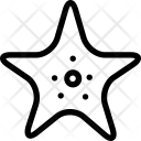 پیش‌نمایش فایل starfish-33 از پک حیوان