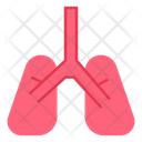 پیش‌نمایش فایل lungs-8104115 از پک سلامت و پزشکی
