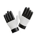 پیش‌نمایش فایل golf-gloves-8790060 از پک گلف