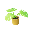 پیش‌نمایش فایل monstera-plant-4933717 از پک تعطیلات
