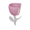 پیش‌نمایش فایل rose-6204235 از پک عروسی