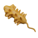 پیش‌نمایش فایل micro-organism-6628006 از پک پزشکی