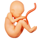 پیش‌نمایش فایل pregnancy-12946714 از پک کودکی