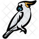 پیش‌نمایش فایل bird-10870357 از پک حیوان خانگی