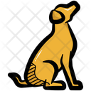 پیش‌نمایش فایل dog-10870367 از پک حیوان خانگی