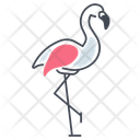 پیش‌نمایش فایل flamingo-11065211 از پک استوایی